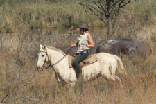 South Africa-Waterberg-South African Explorer